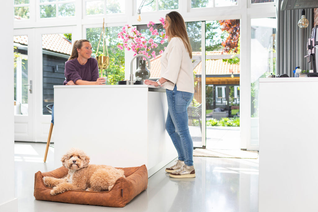 Hond ligt ontspannen in een cognackleurige lederlook hondenmand van MaxxNobel, met luxe afwerking en orthopedisch comfort.