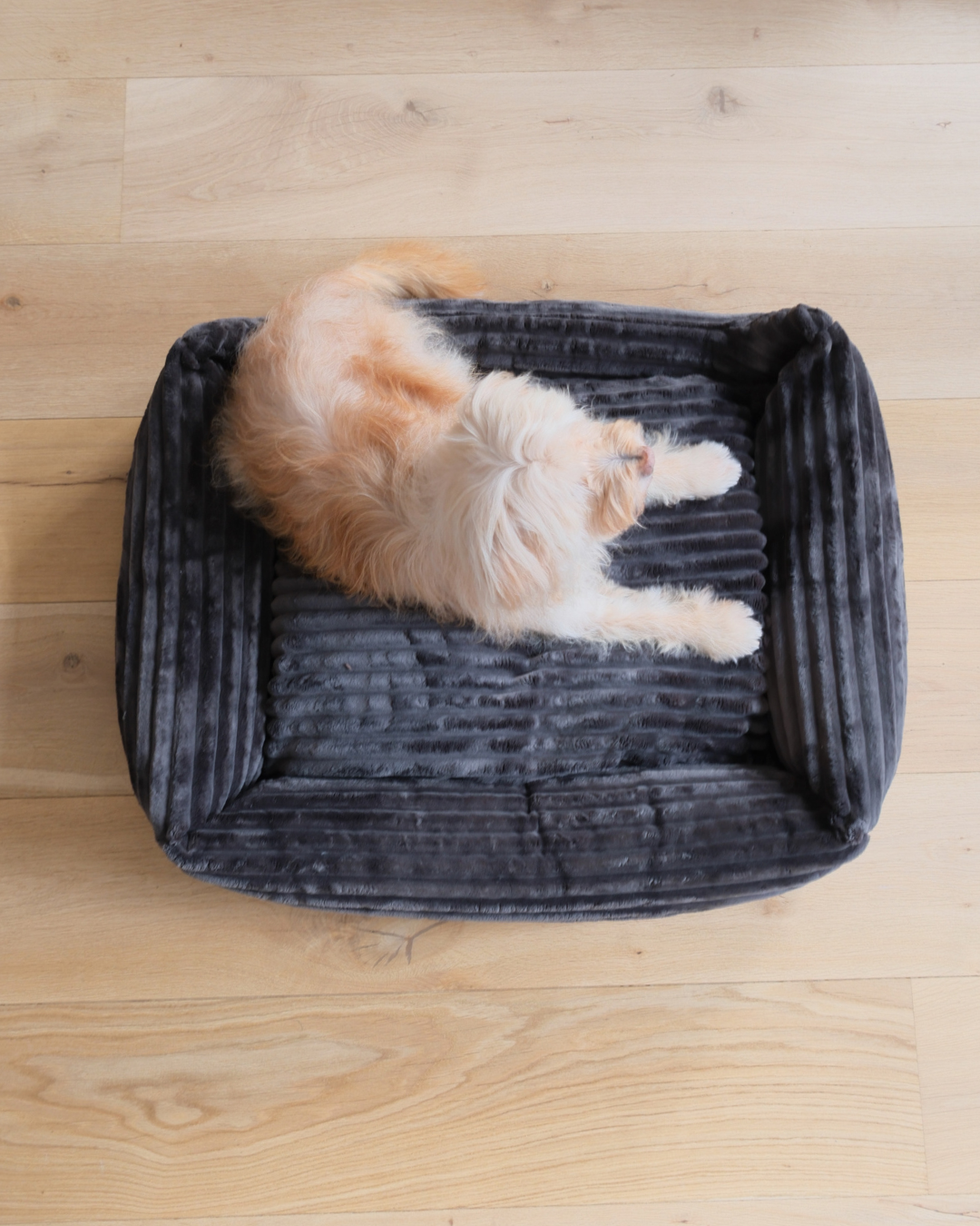 Zachte liefde voor je hond: ontdek de Orthopedische Teddy hondenmand van MaxxNobel voor Valentijnsdag