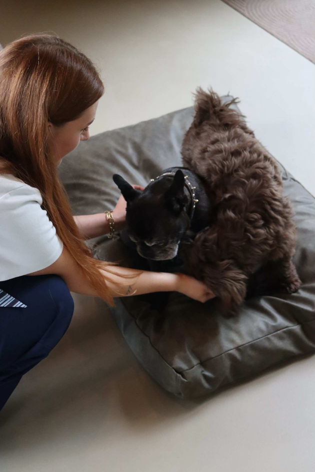 Een hond die uitvalt, hoeft niet beter te leren luisteren