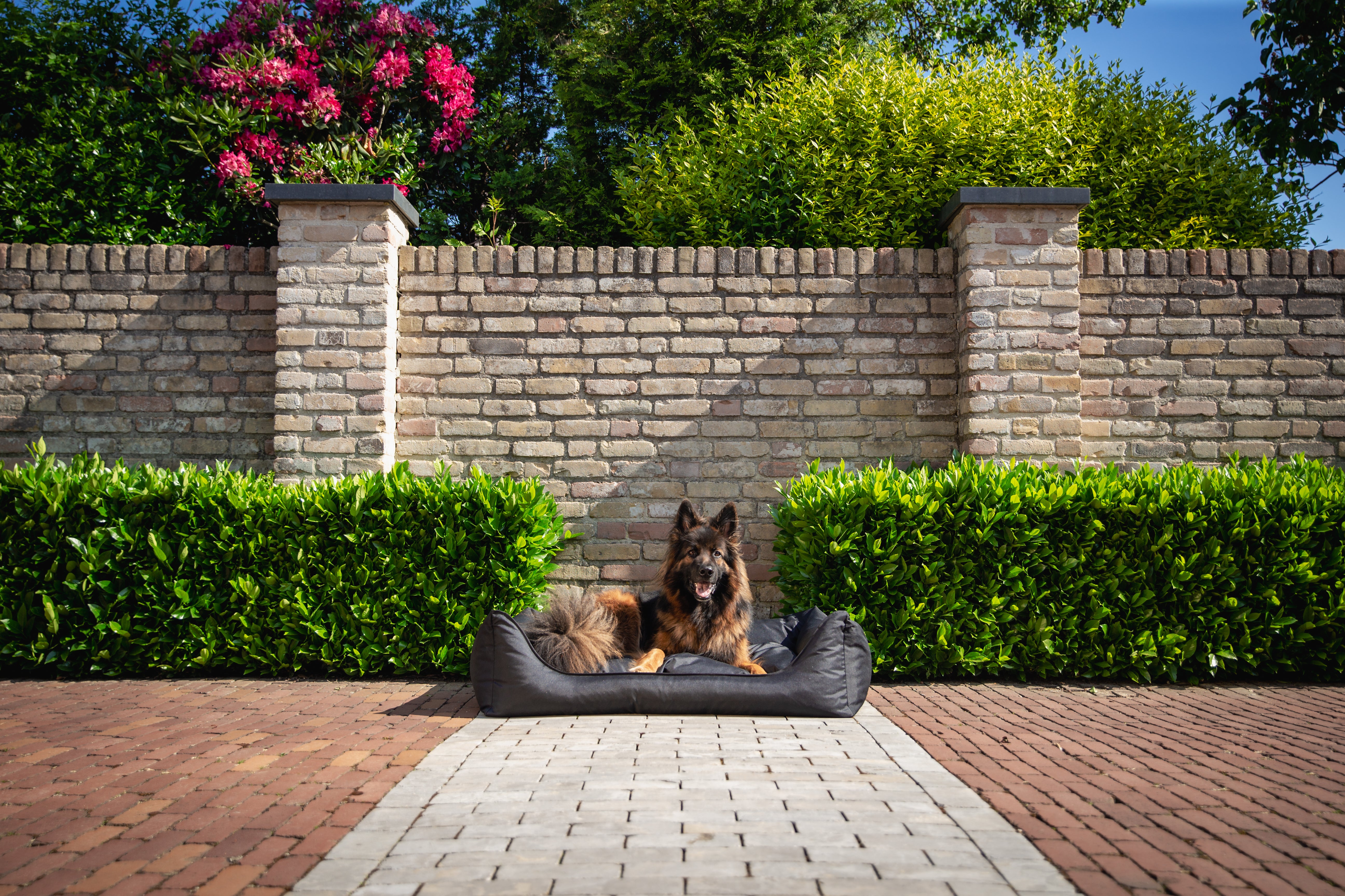 Orthopedische Hondenmand - Bliss - Zwart - Orthopedische Hondenmand