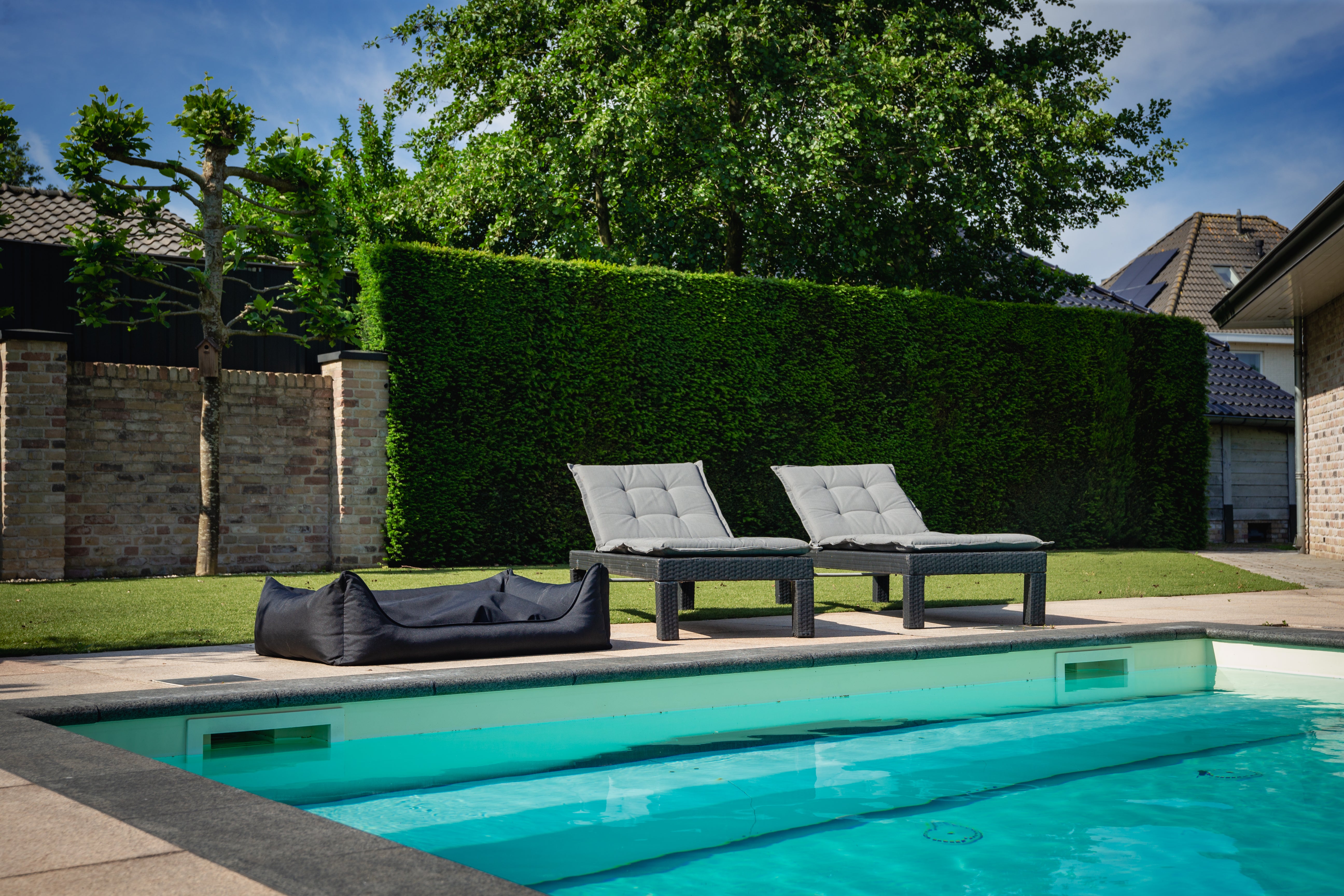 Orthopedische Hondenmand - Bliss - Zwart - Orthopedische Hondenmand