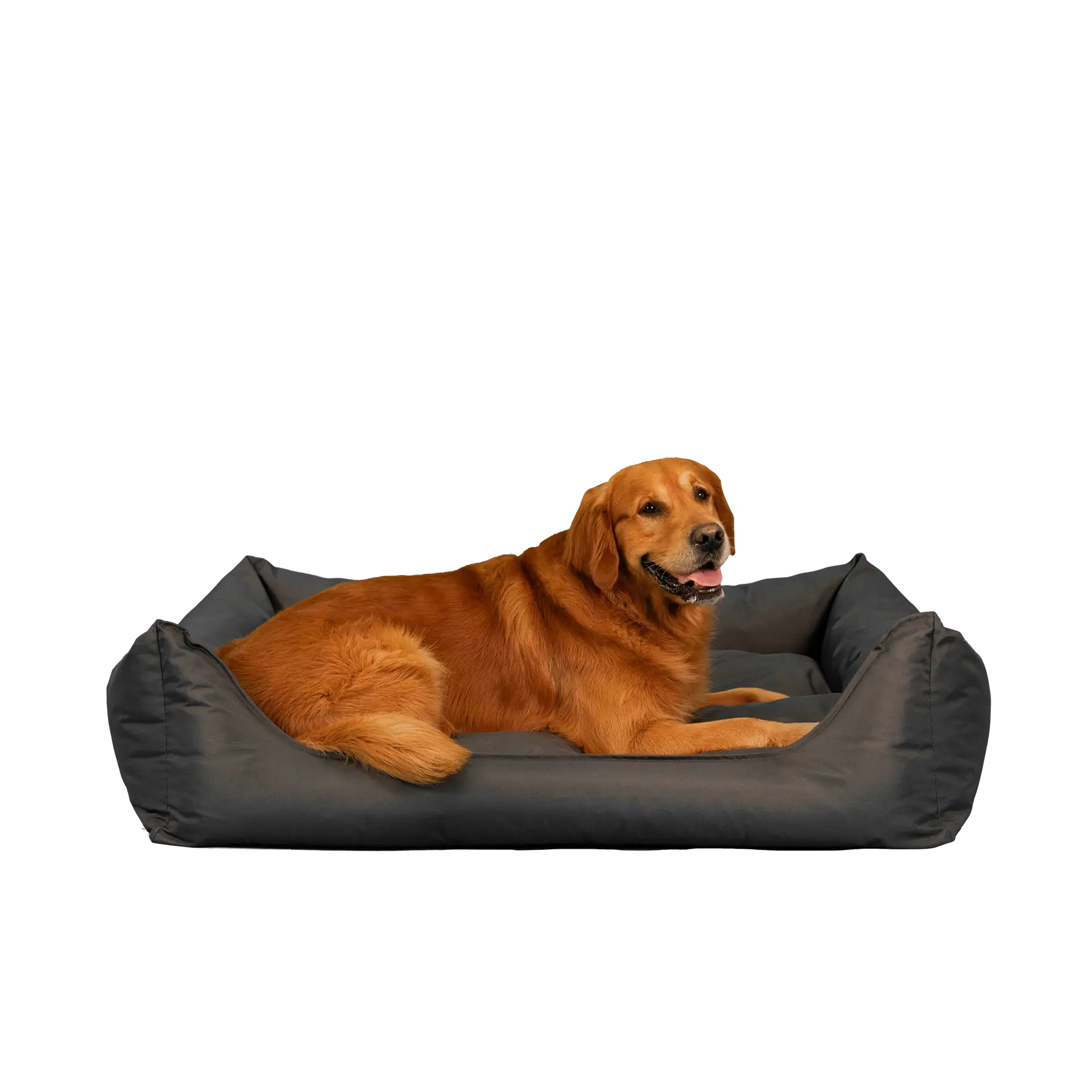 Orthopedische Hondenmand - Bliss - Antraciet - Orthopedische Hondenmand
