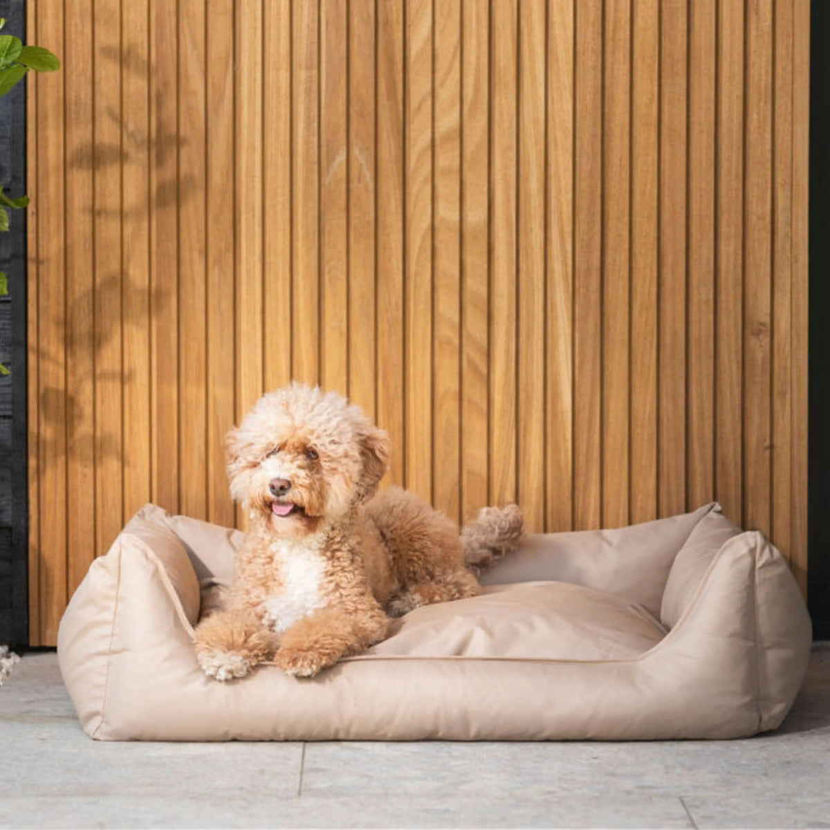 Beige orthopedische hondenmand bliss met zachte, comfortabele binnenkant en ondersteunende buitenkant van pluche