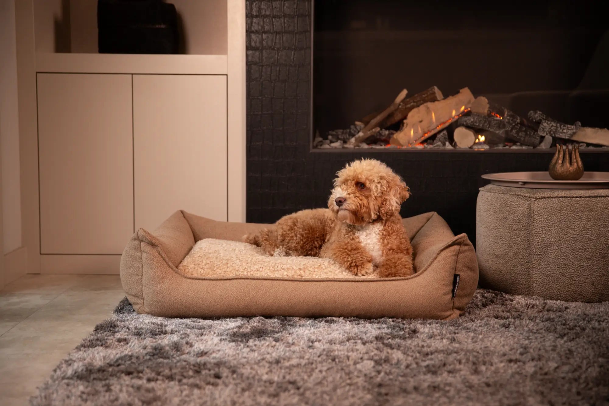 Hond rust comfortabel in een zachte mand, passend bij elke levensfase.