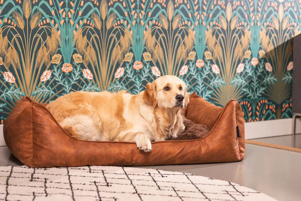 hond die heerlijk ligt uit te rusten in de orthopedische hondenmand van MaxxNobel