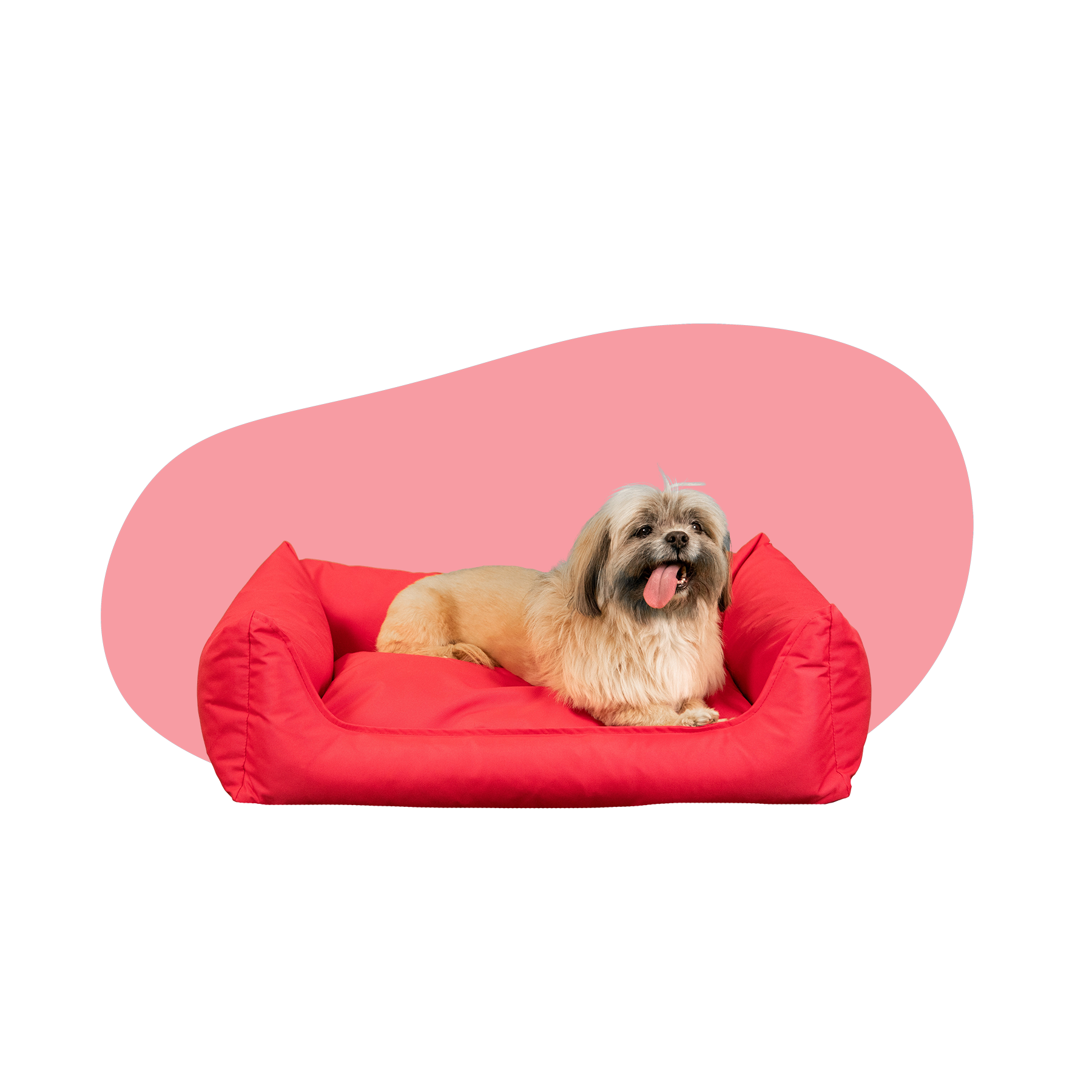 Kleine Hondenmanden