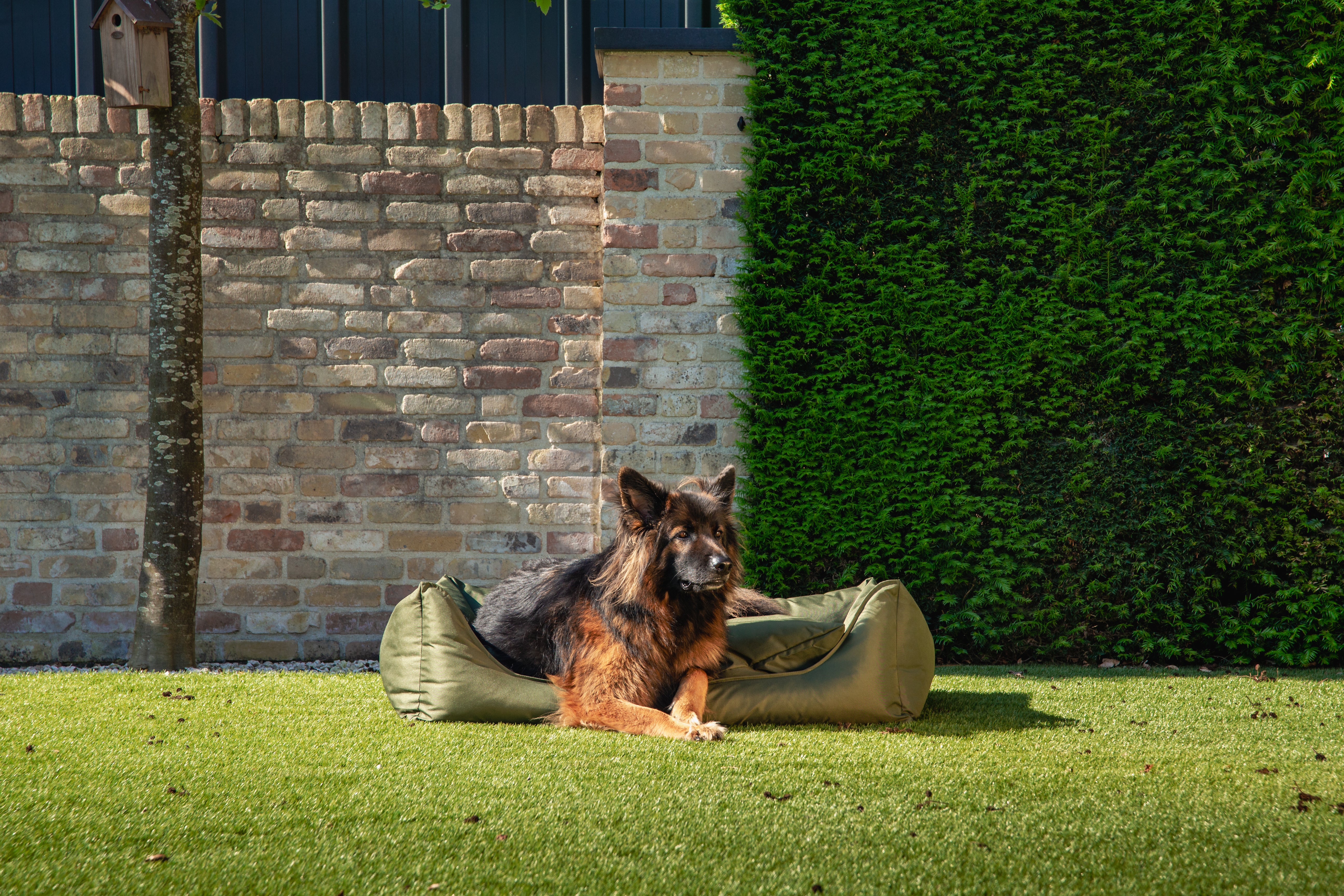 Orthopädisches Hundebett MaxxNobel Bliss grün