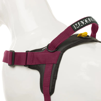 Hondentuig - EasyFit - Rood - Hondentuig