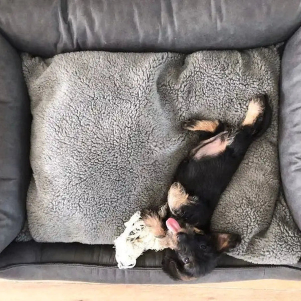 Een zwarte en tan puppy ligt op zijn rug in een orthopedische hondenmand lederlook antraciet met een touwspeelgoed