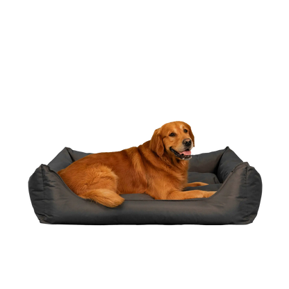 Orthopedische Hondenmand - Bliss - Antraciet - Orthopedische Hondenmand