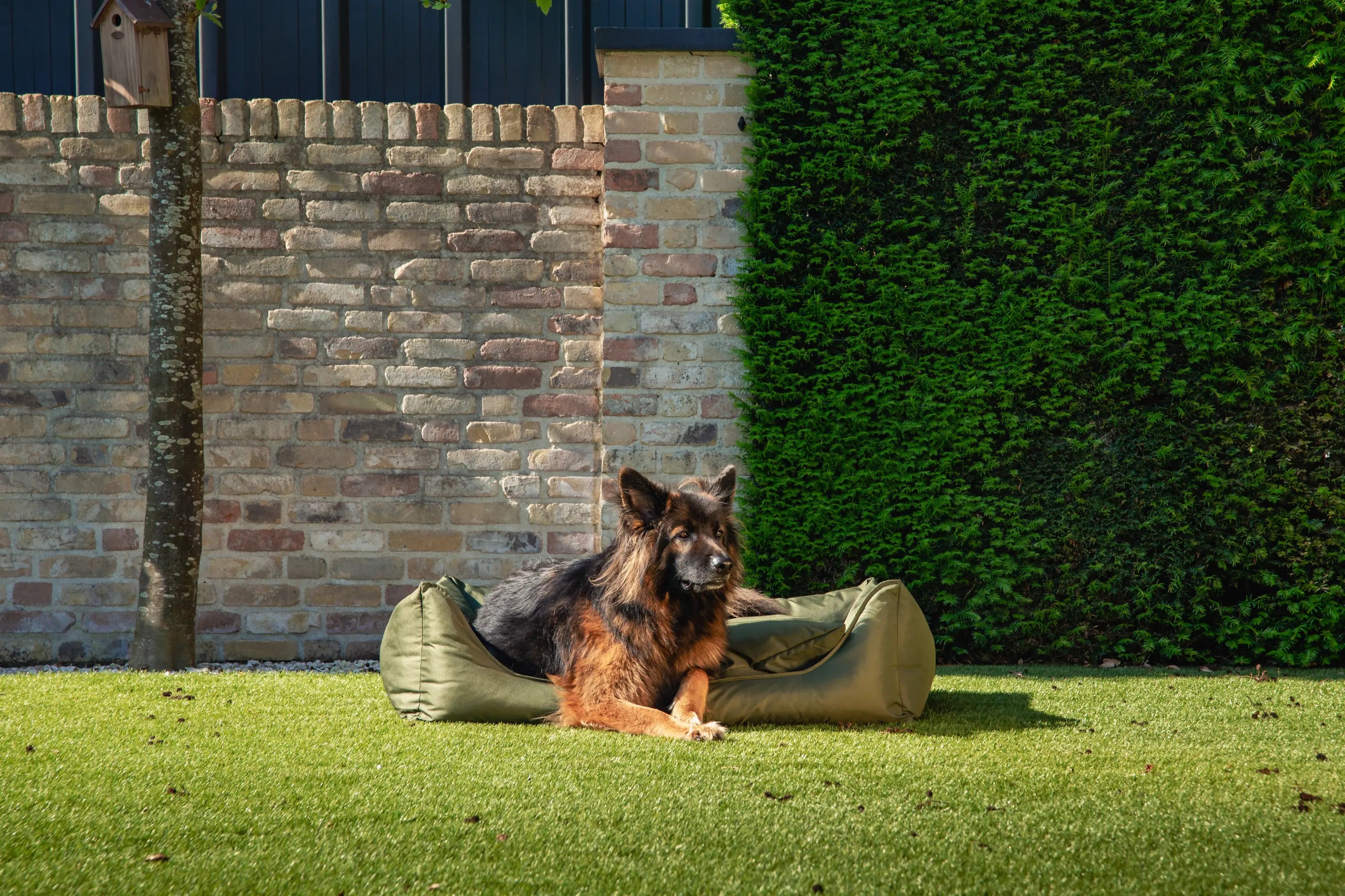 Orthopedische Hondenmand - Bliss - Groen - Orthopedische Hondenmand