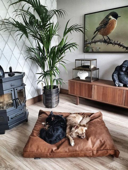 Dog cushion MaxxNobel - Leather look - Cognac