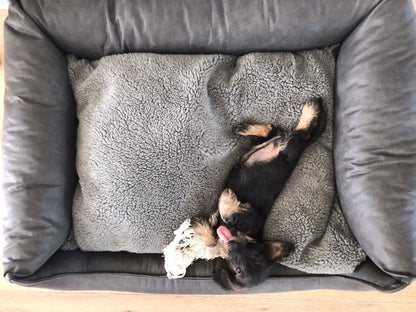 Orthopädisches Hundebett MaxxNobel - Lederoptik - Anthrazit