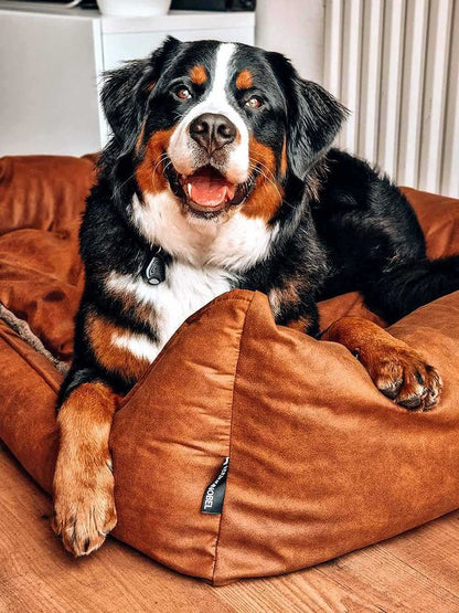 Orthopädisches Hundebett MaxxNobel - Lederoptik - Cognac