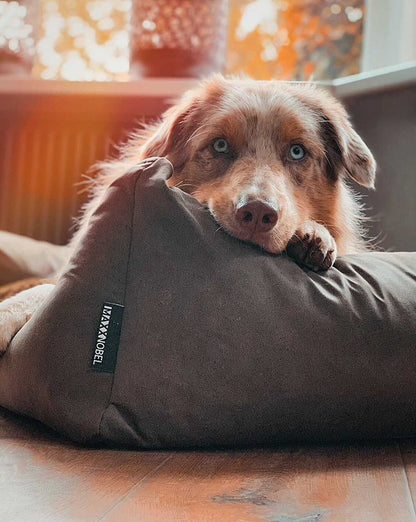 Orthopädisches Hundebett MaxxNobel - Lederoptik - Oliv