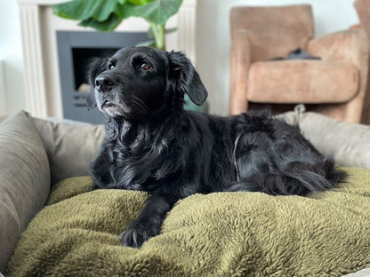 Orthopädisches Hundebett MaxxNobel - Lederoptik - Oliv